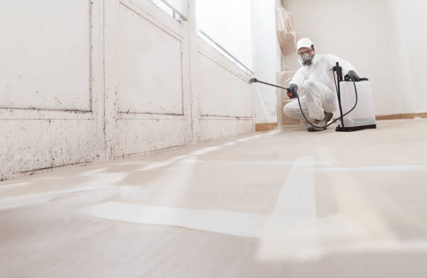 24/7 Emergency Mold Remediation experts in Paxinos, PA